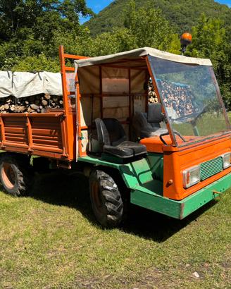 Motoagricola goldoni 324