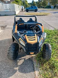 Macchina Elettric fuoristrada UTV 2000M Buggy2WD 