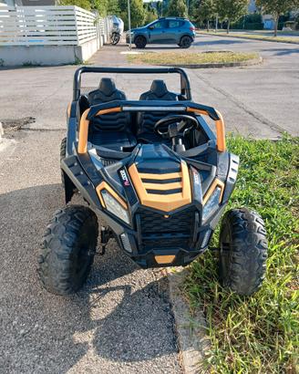Macchina Elettric fuoristrada UTV 2000M Buggy2WD