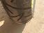 Immagine 4