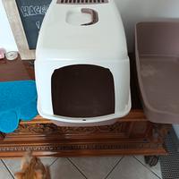 lettiera chiusa per gatti