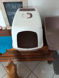 lettiera chiusa per gatti