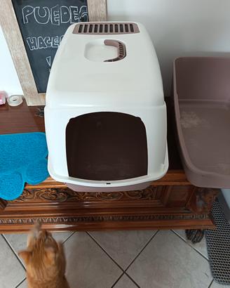 lettiera chiusa per gatti