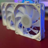 Ventole 120mm Phanteks PH-F120M25 | 12v - PWM