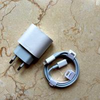 Caricatore 20W + Cavo 60W usb-c/Lightning Apple