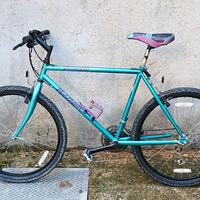 Bici Specialized Rockhopper vintage mountain bike