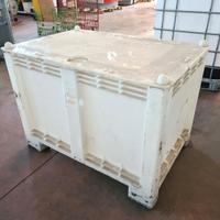 cassone pallet in plastica usato