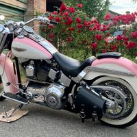 Stupenda Harley