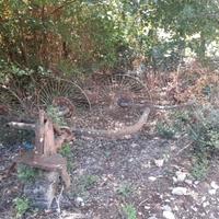 Ranghinatore stellare