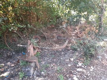 Ranghinatore stellare