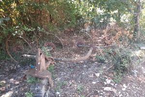 Ranghinatore stellare