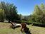 Immagine 27