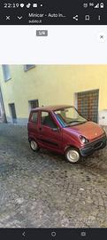 Minicar per ragazzi e anziani