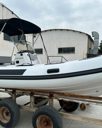 Ranieri Cayman 18 ST Mercuri 40 pro