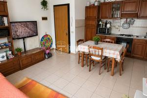 BILOCALE A BRIBANO
