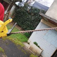 Taglia siepe elettrico