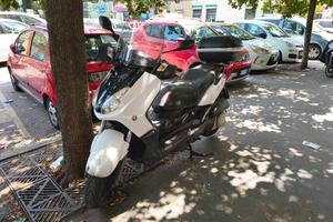 Yamaha xmax 250 2009