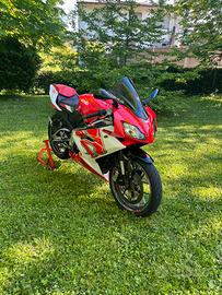 Aprilia RS 125 2013 2 tempi