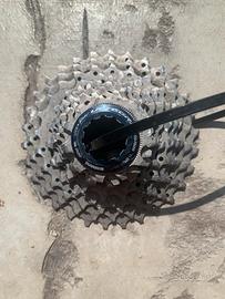 PACCO PIGNONI SHIMANO 11/30