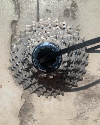 PACCO PIGNONI SHIMANO 11/30