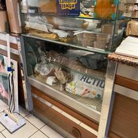Arredamento bar negozio frigorifero tavoli