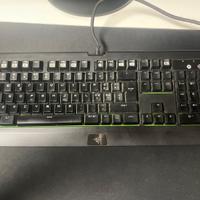 Tastiera razer blackwidow