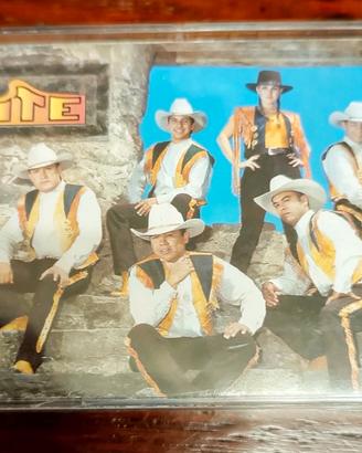 Cassetta musica Grupo Limite Sentimiento 
