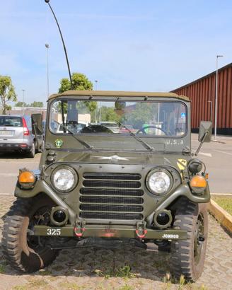 FORD MUTT