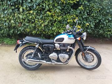 Triumph t100