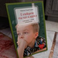 È intelligente ma non si applica 