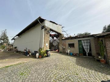 CAPANNONE A FRASCATI