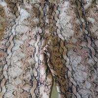 pantaloni stampa pitone tg 50 Oltre