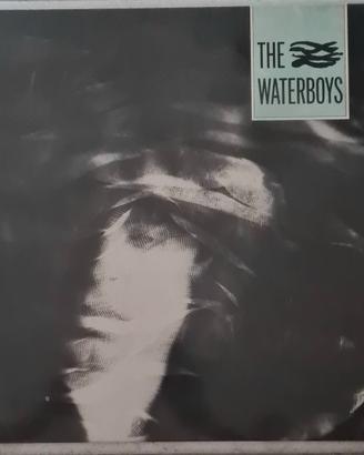 Lp vinile disco Waterboys