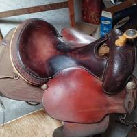  Sella Crates 17" full quarter