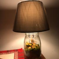 Lampada con terrario