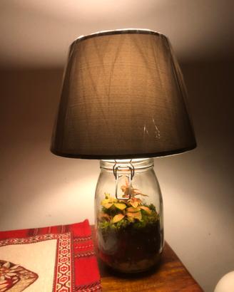 Lampada con terrario
