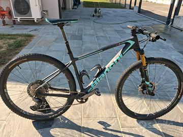 Bianchi methanol 