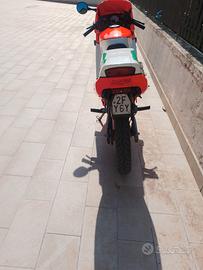 moto Malaguti 50