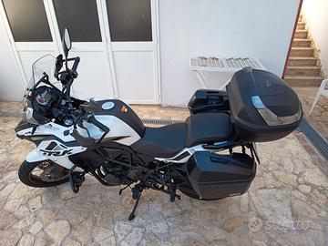 Benelli TRK 502 - 2024