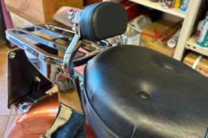 Sissybar archetto e cuscino Harley Sportster