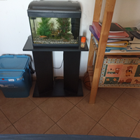 Acquario completo 45 l