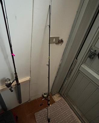 Canna da pesca spinning lago