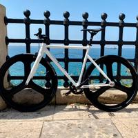 Bicicletta Santafixie