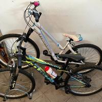 Torpado Bicicletta Mtb