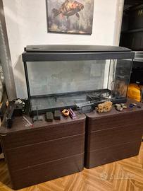 Acquario 