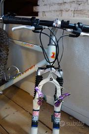 MOUNTAIN BIKE  DACCORDI