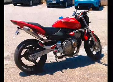 Hornet 600