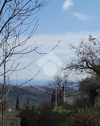 TER. RESIDENZIALE A DIANO ARENTINO