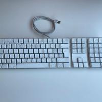 Tastiera Apple A1048 vintage funzionante