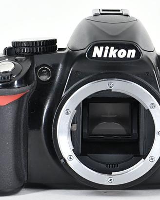 NIKON D 3100